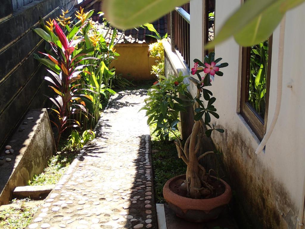 Titi Sedana Homestay Amed  Room photo